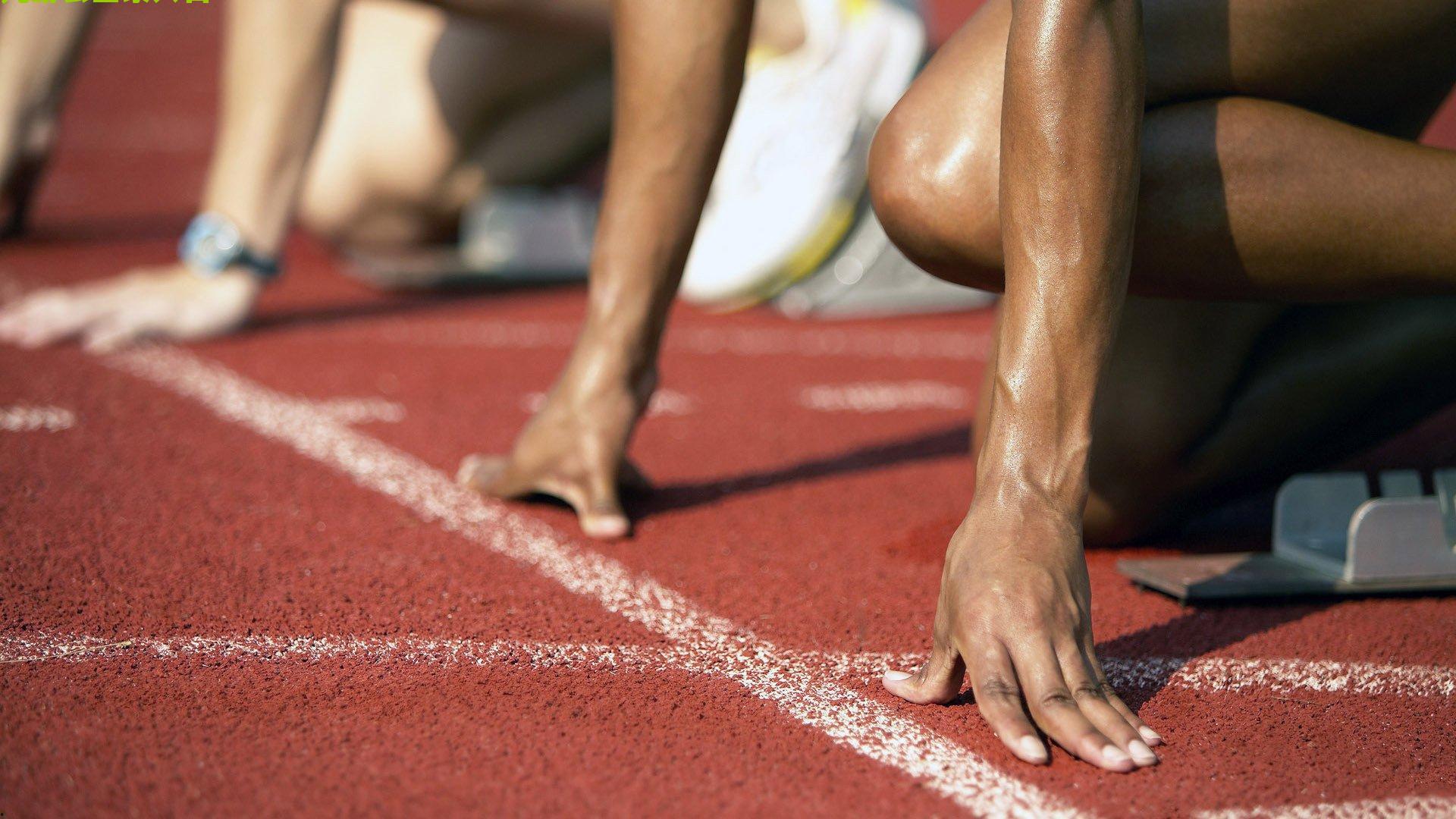 巅峰对决！男子十米台现神仙打架 裁判打出17个满分