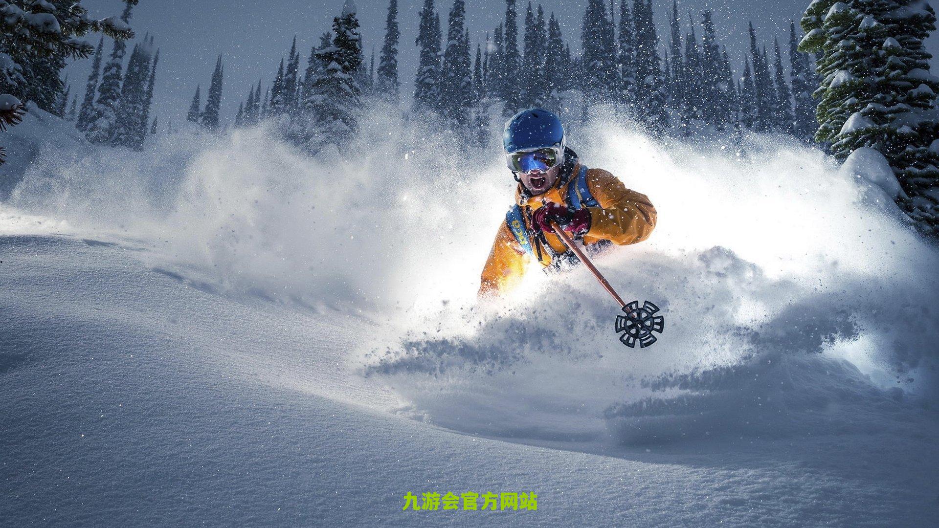 生不逢时！史蒂夫·纳什：我本应该每晚出手至少20次